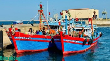 Bắt giữ 3 tàu cá đánh bắt hải sản sai quy định
