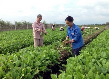 Ứng dụng công nghệ, chuyển đổi số, nhiều hợp tác xã vượt khó trong đại dịch