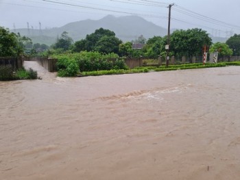 Hà Tĩnh: Quốc lộ 1A biến thành "sông" sau mưa lớn