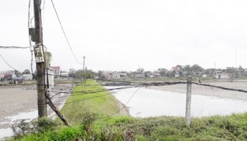 Hà Tĩnh: Mất an toàn lưới điện tại dự án nuôi tôm ở Hộ Độ