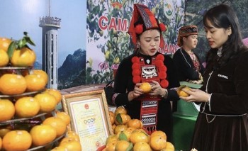 Hà Tĩnh: Hợp tác, hỗ trợ nông dân Hà Giang tiêu thụ cam
