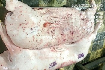 Từ vụ C.P. bị tố bán heo bệnh: Chỉ đạo mới từ Bộ Nông nghiệp và Môi trường