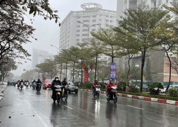D20230020801