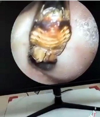 D202305171909