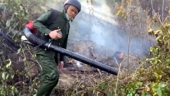 Huy động nhiều lực lượng tham gia chữa cháy rừng ở Hà Tĩnh