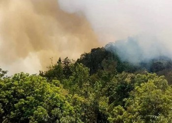 Hai kiểm lâm tử nạn khi chữa cháy rừng Tây Côn Lĩnh
