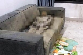Thông tin mới nhất vụ thi thể cô gái chết khô trên sofa ở Hà Nội