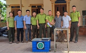 Vườn QG Vũ Quang tiếp nhận 2 cá thể động vật quý hiếm, nguy cấp