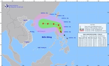 Bão Yagi sẽ vào Biển Đông, khả năng đạt cường độ mạnh