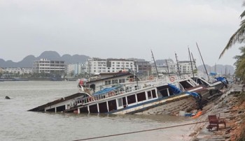 Yêu cầu các ngân hàng cơ cấu nợ, miễn giảm lãi vay cho khách hàng ảnh hưởng bão số 3