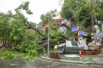 Thủ tướng: Triển khai ngay chính sách miễn, giảm thuế sau bão lũ