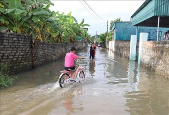 Thời tiết ngày 21/10: Từ Thanh Hóa đến Bình Định có nơi mưa rất to