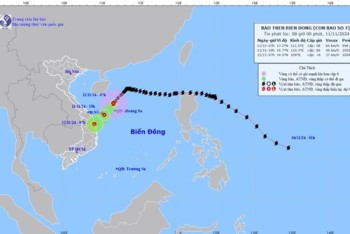 Sở GD&ĐT các tỉnh chủ động cho học sinh nghỉ học tránh bão