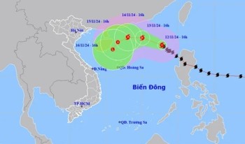 Bão số 8 giật cấp 12, liên tục đổi hướng