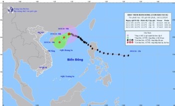 Bão số 8 suy yếu ở giữa Biển Đông, đất liền không chịu tác động