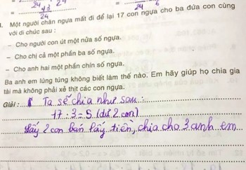 Bài toán 'chia đều 17 con ngựa cho 3 người' gây bão mạng