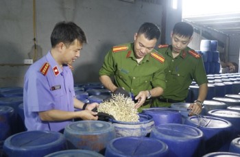 Vụ 3.500 tấn giá đỗ "ngậm" chất cấm tuồn ra thị trường: Trách nhiệm thuộc về ai?