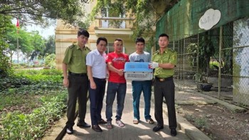 Thả “thủ phạm” trộm gà về rừng