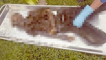 Tìm thân nhân bộ xương người được phát hiện dưới chân cầu ở TPHCM