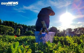 Dự báo thời tiết ngày 19/5: Mưa lớn giảm dần ở miền Bắc, miền Trung có nắng nóng