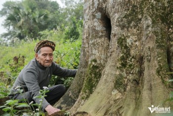 Huyện miền núi Hà Tĩnh có 'báu vật' trị giá trăm tỷ, dân làng cùng nhau canh giữ