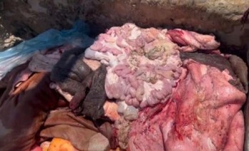 Hà Tĩnh: Phát hiện hơn 1 tấn nội tạng trâu bò bốc mùi trên xe tải