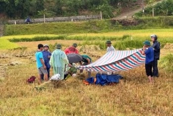 Liên tiếp 3 người bị sét đánh giữa cánh đồng