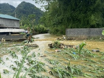 Bắc Bộ và Bắc Trung Bộ mưa lớn, cảnh báo nguy cơ lũ quét, sạt lở ở 15 tỉnh