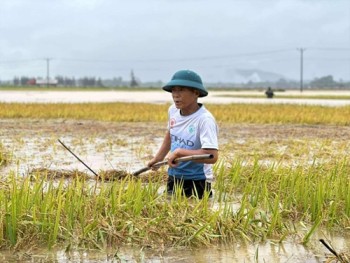 Tháng 5 dị thường ở miền Bắc, miền Trung