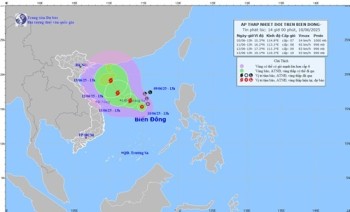 Thủ tướng yêu cầu chủ động ứng phó áp thấp nhiệt đới có khả năng mạnh lên thành bão