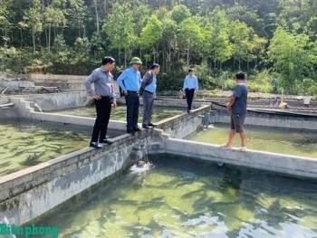 Những câu chuyện giảm nghèo trên vùng đá xám cực Bắc