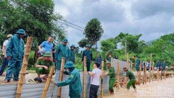 Bộ Nông nghiệp và Môi trường yêu cầu bảo đảm an toàn đê điều ứng phó bão số 11