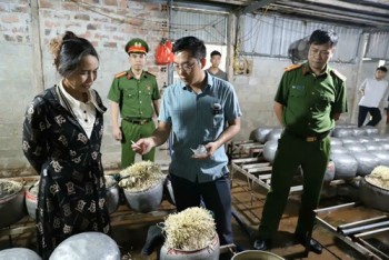 Nhiều hóa chất nguy hiểm bị sử dụng sai mục đích