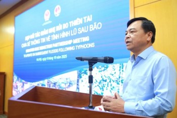 Việt Nam kêu gọi cứu trợ khẩn cấp từ cộng đồng quốc tế