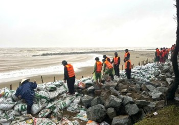 Hà Tĩnh: 7 công trình đê điều, thủy lợi cấp bách hư hỏng sau mưa bão cần được sửa chữa