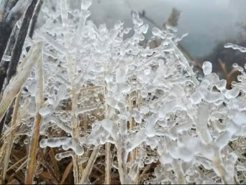 Bắc bộ chuẩn bị đón đợt rét đầu mùa, có thể xuất hiện sương muối