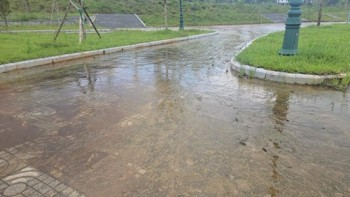 Công viên… vồ ếch!