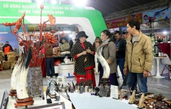 Khai mạc Hội chợ công thương Bắc Trung Bộ-Hà Tĩnh năm 2025