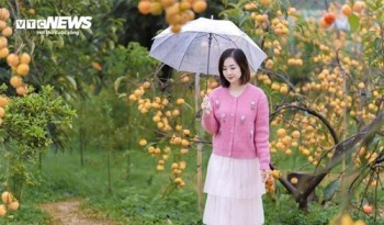 Dự báo thời tiết 26/11: Miền Bắc đêm và sáng rét sâu, ban ngày nắng hanh