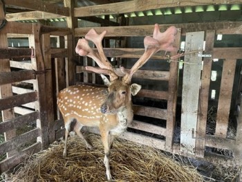 Hà Tĩnh đẩy mạnh công tác giảm nghèo bền vững