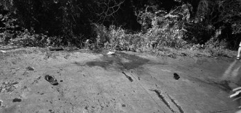 H2025072402