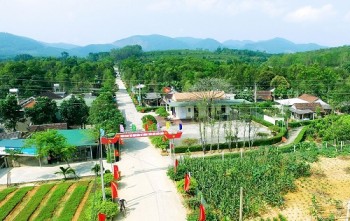 H2025072805 1