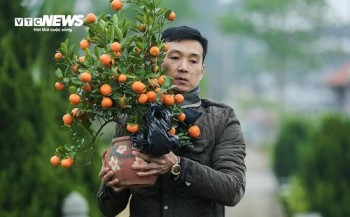 Dự báo thời tiết ngày 4/2: Miền Bắc rét đậm cục bộ, trưa chiều nắng ấm