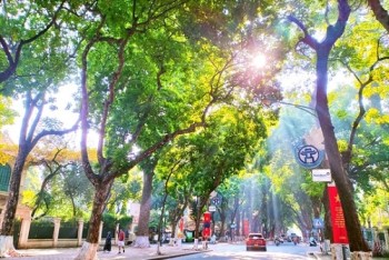 Dự báo thời tiết ngày 12/3: Miền Bắc đón thêm đợt không khí lạnh tăng cường