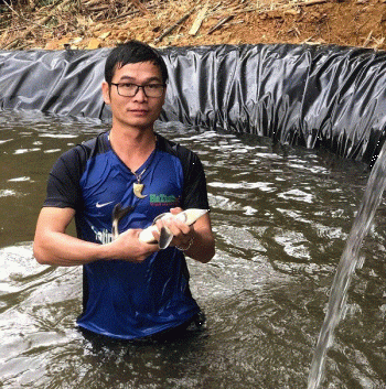 Ngược nắng, nuôi cá tầm giữa “chảo lửa” miền Trung