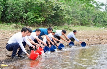 Thả hơn 4 vạn cá giống tái tạo nguồn lợi thủy sản