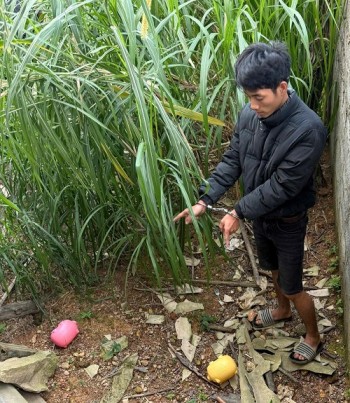 Không chịu hoàn lương