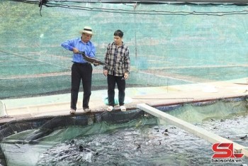 Phát triển thủy sản bền vững