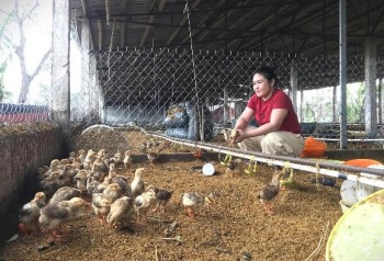 Người dân mong tiền hỗ trợ sau thiên tai