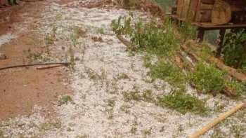 Mưa đá dày đặc ở Sơn La, đồi núi trắng xóa sau cơn giông